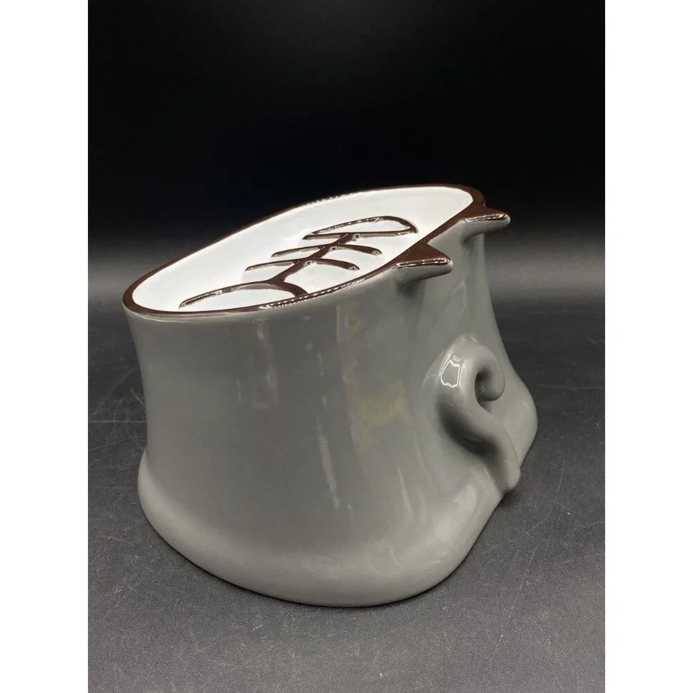 YHY Slow Feeder Cat Food Bowl Elevated Tilted Fish Bone Design Wet Dry
